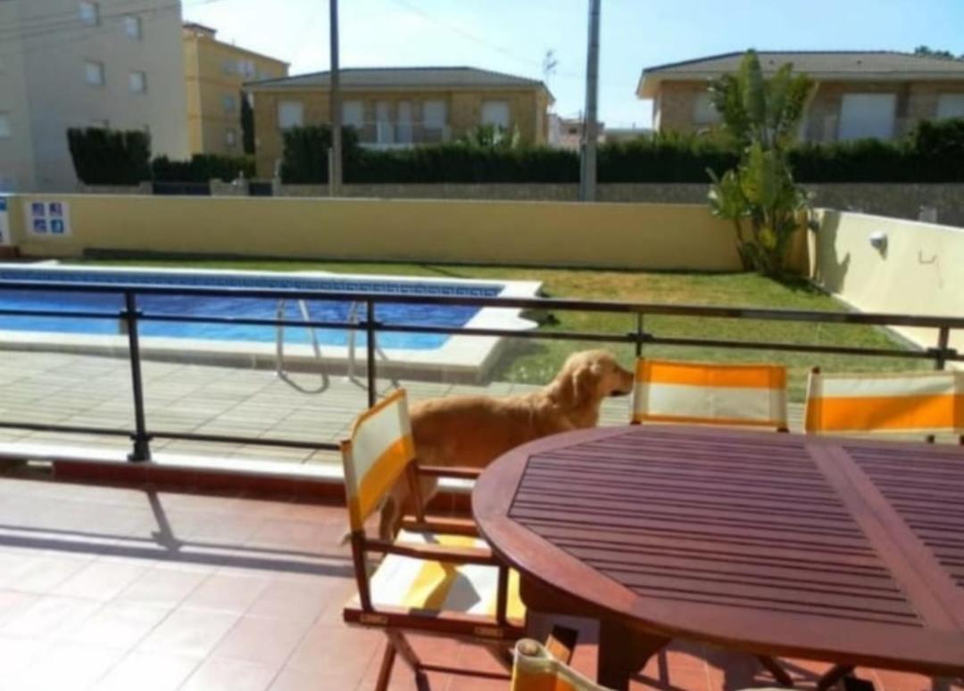 Apartamento Con Terraza Y Acceso Directo A La Piscina Y A 50 M De La Playa Miami Playa Extérieur photo